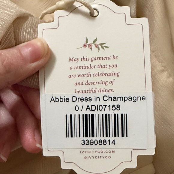 Ivy City Co. Abbie Dress Size 0 NWT - Picture 8 of 8